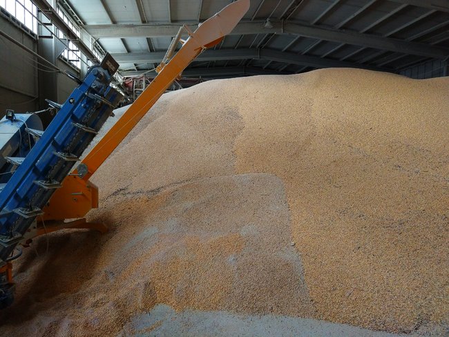 Вывели на свет: как изменились схемы уклонения от уплаты налогов 02 Вывели на свет: как изменились схемы уклонения от уплаты налогов 02