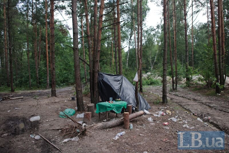 В Олевському районі кілька клонлайків