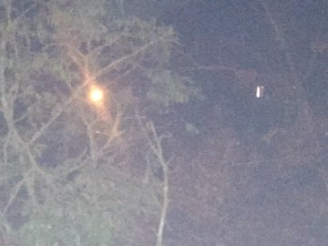 Bild auf Twitter anzeigen Bild auf Twitter anzeigen