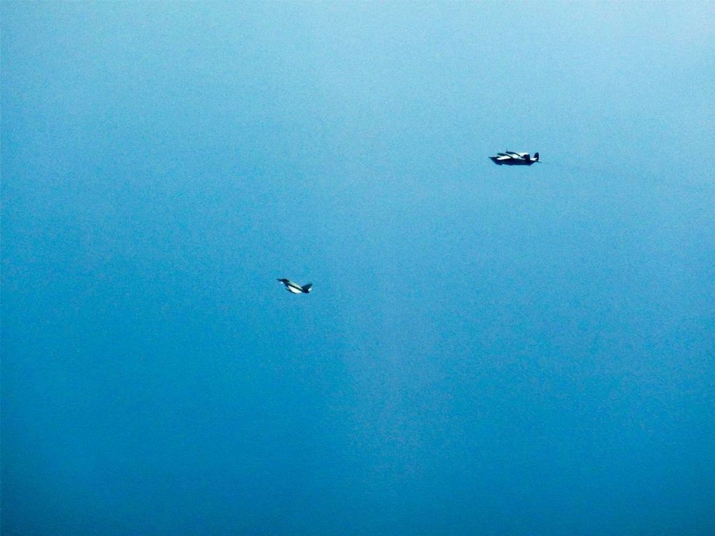        :    dqxikeidqxitkant