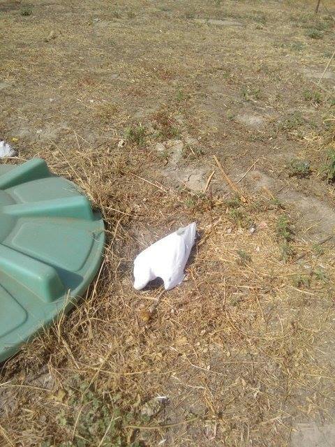 Забитые больницы и мертвые птицы: появились новые подробности ’’химатаки’’ в Крыму