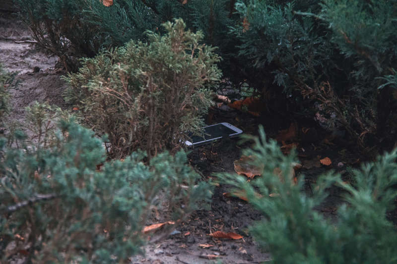 ÐžÐ´Ð¸Ð½ Ð½Ð¾Ð¶ Ð¾Ð½Ð¸ Ð²Ñ‹Ð±Ñ€Ð¾ÑÐ¸Ð»Ð¸ Ð² ÐºÐ»ÑƒÐ¼Ð±Ñƒ, Ð²Ñ‚Ð¾Ñ€Ð¾Ð¹ - Ð² ÑƒÑ€Ð½Ñƒ Ñ€ÑÐ´Ð¾Ð¼ Ñ Ð»Ð°Ð²Ð¾Ñ‡ÐºÐ¾Ð¹, Ð° ÑƒÐºÑ€Ð°Ð´ÐµÐ½Ð½Ñ‹Ð¹ Ñ‚ÐµÐ»ÐµÑ„Ð¾Ð½ - Ð² ÐºÑƒÑÑ‚Ñ‹