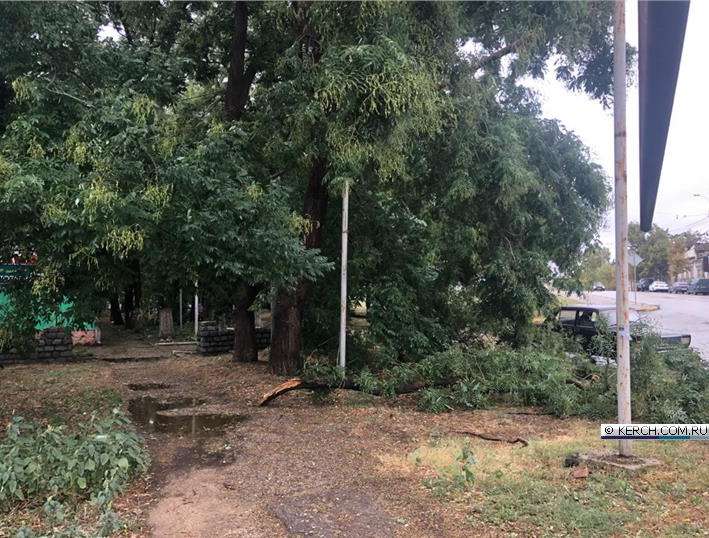     :   ,  .     dqxikeidqxitkant