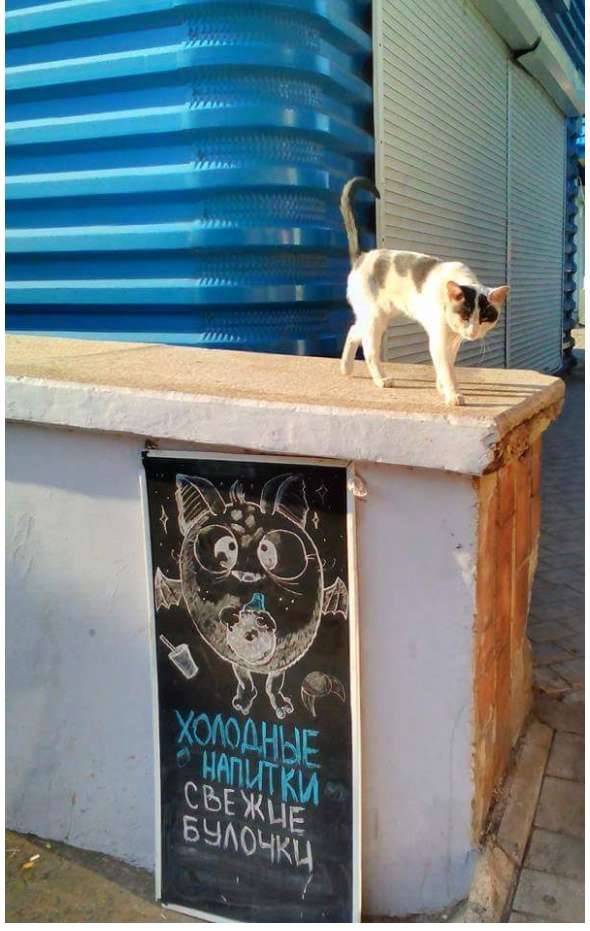 ÐÐ¸Ð·Ð½Ñ Ð² ÐонеÑке оÑÑановилаÑÑ