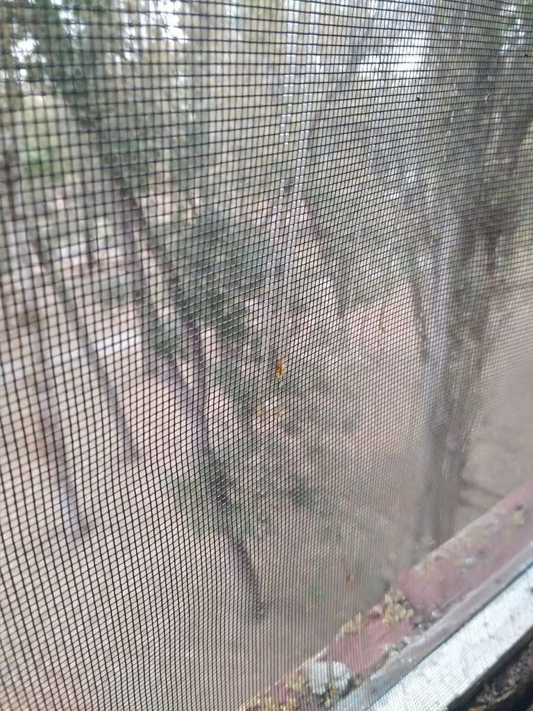 ’’Ð Ð¾Ñ Ð¿ÐµÑеÑ, Ñело ÑеÑеÑÑÑ’’: оÑевидÑÑ ÑаÑÑказали пÑо ’’киÑлоÑнÑй ад’’ в ÐÑÑÐ¼Ñ dqxikeidqxitkant