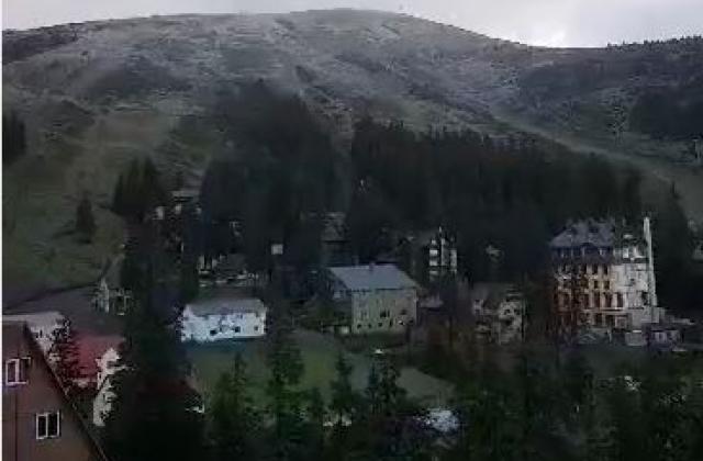     :  dqxikeidqxiqqeant