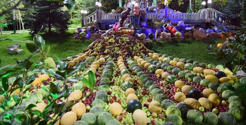 Ð’Ð·ÑÐ» Ð·Ð° Ñ€ÑƒÐºÑƒ Ð¸ Ð¿Ð¾ÐºÐ°Ð·Ð°Ð» ÑÐ²Ð¾Ð¸ Ð°Ñ€Ð±ÑƒÐ·Ñ‹: Ð¿Ñ€ÐµÐ·Ð¸Ð´ÐµÐ½Ñ‚ Ð¢Ð°Ð´Ð¶Ð¸ÐºÐ¸ÑÑ‚Ð°Ð½Ð° Ð¿Ð¾Ñ‚Ñ€Ð¾Ð³Ð°Ð» ÐŸÑƒÑ‚Ð¸Ð½Ð°. Ð’Ð¸Ð´ÐµÐ¾ Ð¸ Ñ„Ð¾Ñ‚Ð¾Ñ„Ð°ÐºÑ‚