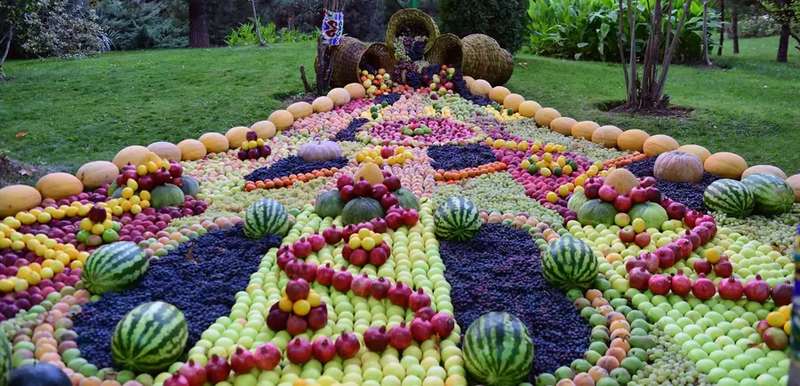 Ð’Ð·ÑÐ» Ð·Ð° Ñ€ÑƒÐºÑƒ Ð¸ Ð¿Ð¾ÐºÐ°Ð·Ð°Ð» ÑÐ²Ð¾Ð¸ Ð°Ñ€Ð±ÑƒÐ·Ñ‹: Ð¿Ñ€ÐµÐ·Ð¸Ð´ÐµÐ½Ñ‚ Ð¢Ð°Ð´Ð¶Ð¸ÐºÐ¸ÑÑ‚Ð°Ð½Ð° Ð¿Ð¾Ñ‚Ñ€Ð¾Ð³Ð°Ð» ÐŸÑƒÑ‚Ð¸Ð½Ð°. Ð’Ð¸Ð´ÐµÐ¾ Ð¸ Ñ„Ð¾Ñ‚Ð¾Ñ„Ð°ÐºÑ‚