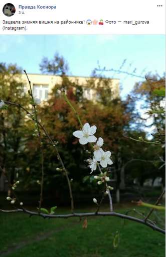 Ð ÐнепÑе Ñнова заÑвела ÑиÑенÑ: ÑоÑоÑÐ°ÐºÑ dqxikeidqxiqqeant