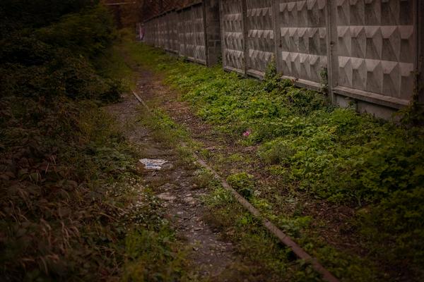 Она возвращается