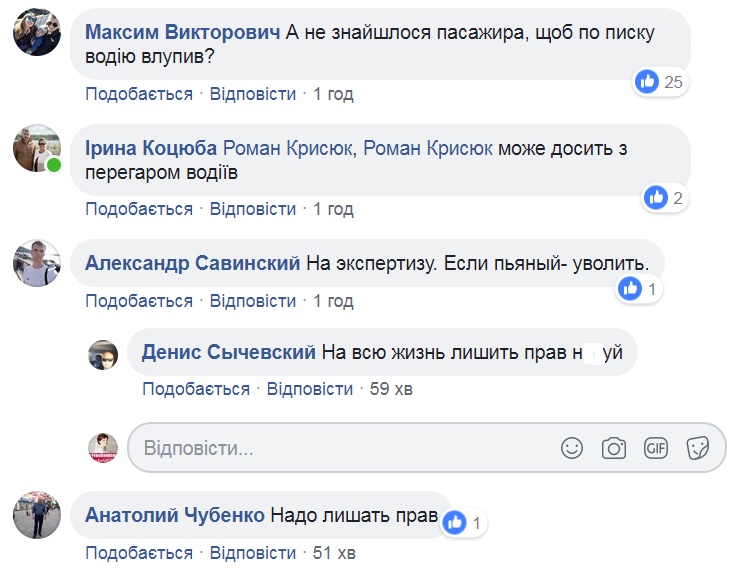 Тянул ребенка 5 метров по асфальту: в Житомире пьяный водитель устроил ЧП