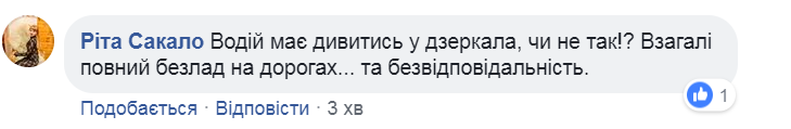 Тянул ребенка 5 метров по асфальту: в Житомире пьяный водитель устроил ЧП