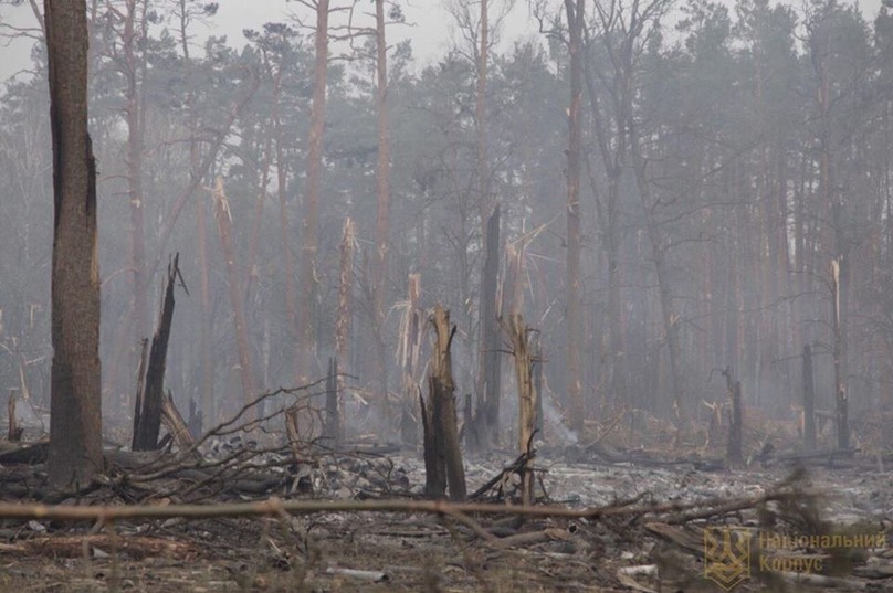 Ðак поÑле аÑомной войнÑ: поÑвилиÑÑ ÑоÑо Ñ Ð¼ÐµÑÑа пожаÑа на ÑкладаÑ
под Ð?Ñней