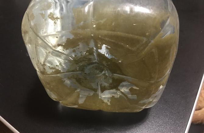   :       -  153259 dqxikeidqxiqqeant