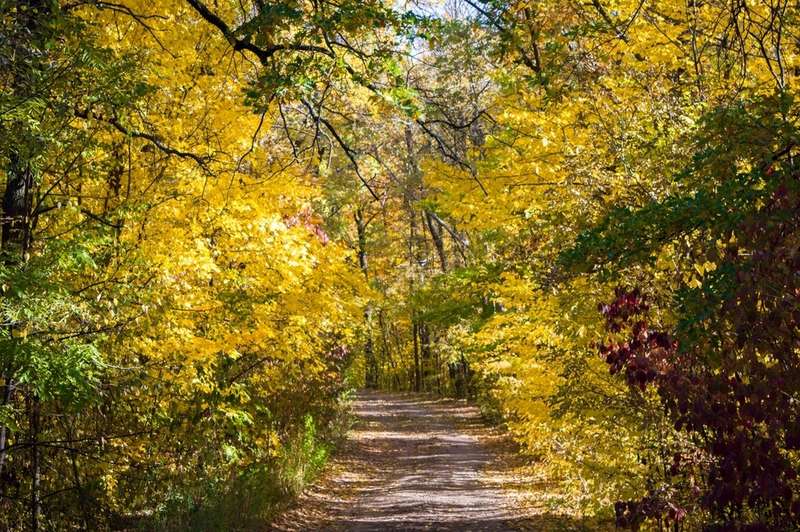 Ðак вÑглÑÐ´Ð¸Ñ ÑÐµÐ³Ð¾Ð´Ð½Ñ Ð·Ð°Ð±ÑоÑеннÑй зениÑно-ÑакеÑнÑй дивизион под ХаÑÑковом dqxikeidqxiqqeant