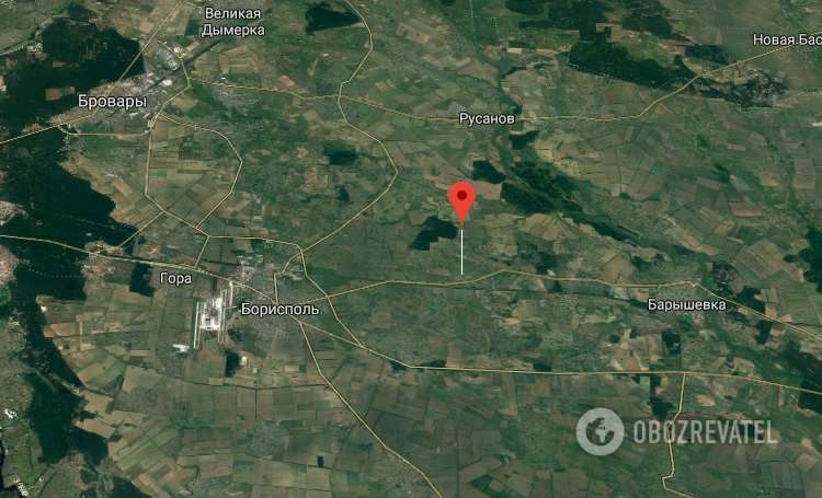 Пес порвал ребенка: как наказывают владельцев опасных собак