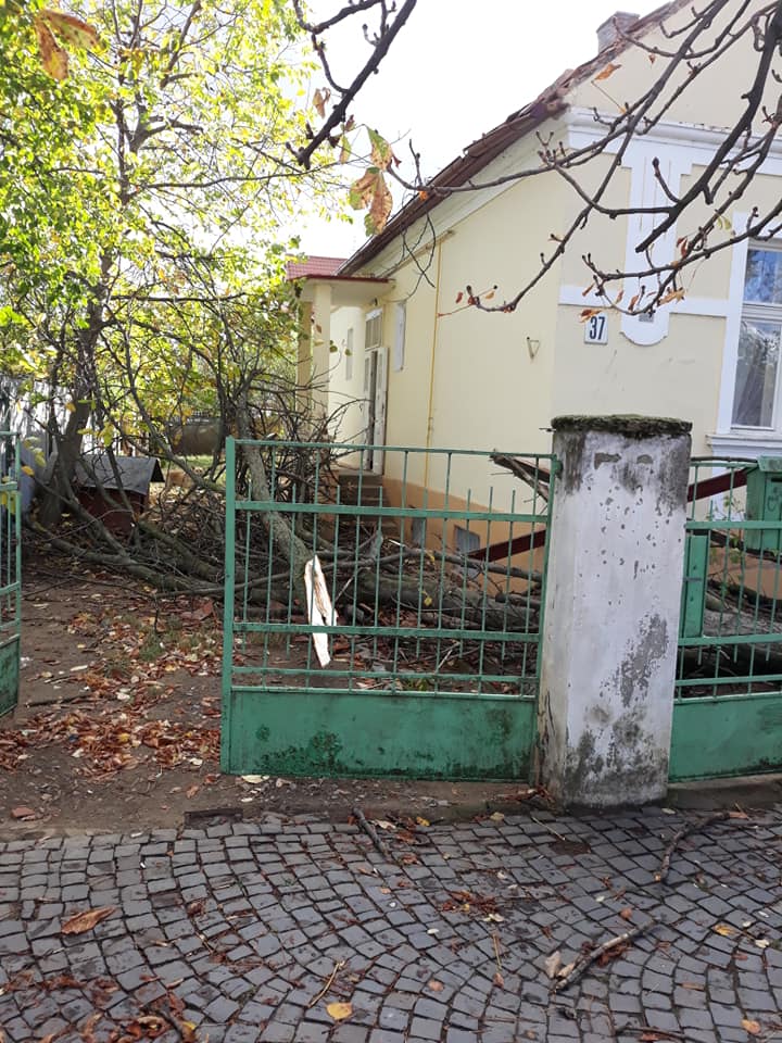 ÐоÑледÑÑÐ²Ð¸Ñ Ð½ÐµÐ¿Ð¾Ð³Ð¾Ð´Ñ Ð² УжгоÑоде dqxikeidqxiqqeant