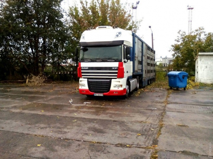 Â  dqxikeidqxiqqeant