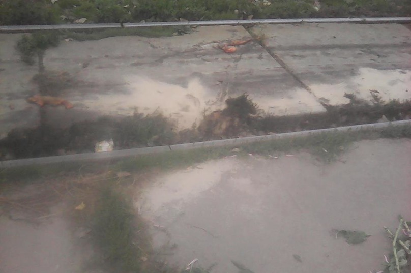 ÐÑиÑÑÑÑили пеÑоÑком: Ð ÐнипÑе оÑÑанки погибÑей женÑÐ¸Ð½Ñ Ð½Ðµ ÑбиÑаÑÑ Ñ ÑÑамвайнÑÑ
пÑÑей (ÑоÑо 18+) dqxikeidqxiqqeant