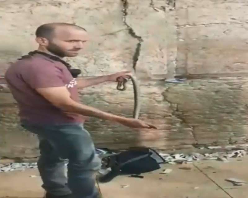   ?       .  dqxikeidqxitkant