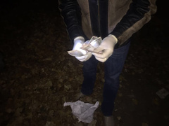 В Николаеве оперативники Нацполиции задержали на взятке двоих налоговиков - Copyright https://news.pn dqxikeidqxiqqeant