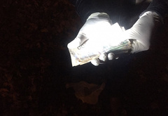 В Николаеве оперативники Нацполиции задержали на взятке двоих налоговиков - Copyright https://news.pn