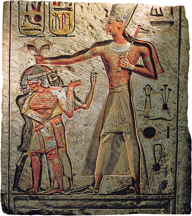 Image 11372 Image 11372 dqxikeidqxitkant