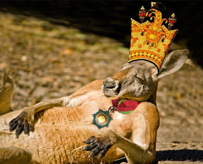 Image 11379 Image 11379