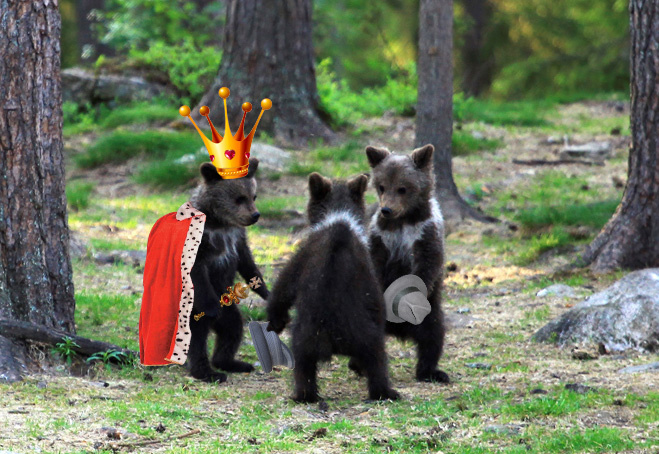 Image 11381 Image 11381