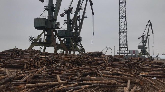 Контрабанда леса идет из порта Рени под видом дров,- Мосийчук 01 Контрабанда леса идет из порта Рени под видом дров,- Мосийчук 01 dqxikeidqxiqqeant