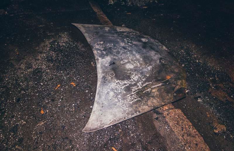 ЦелÑм Ñ Ð°Ð²ÑÐ¾Ð¼Ð¾Ð±Ð¸Ð»Ñ Ð¾ÑÑалÑÑ ÑолÑко багажник