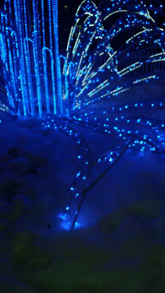 2018 12 31 tre 03 dqxikeidqxitkant