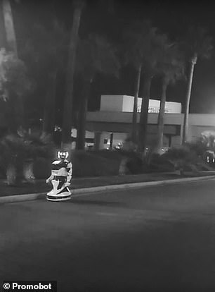 ÐÑÑкоÑил на доÑогÑ: Tesla на авÑопилоÑе Ñбила ÑоÑÑийÑкого ÑобоÑа. Ðидео dqxikeidqxiqqeant