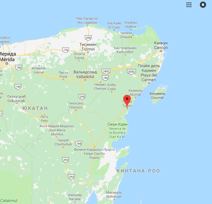 ГулÑнка: Ñтало извеÑтно, куда летели Ð¤ÑƒÐºÑ Ð¸ компаниÑ dqxikeidqxitkant