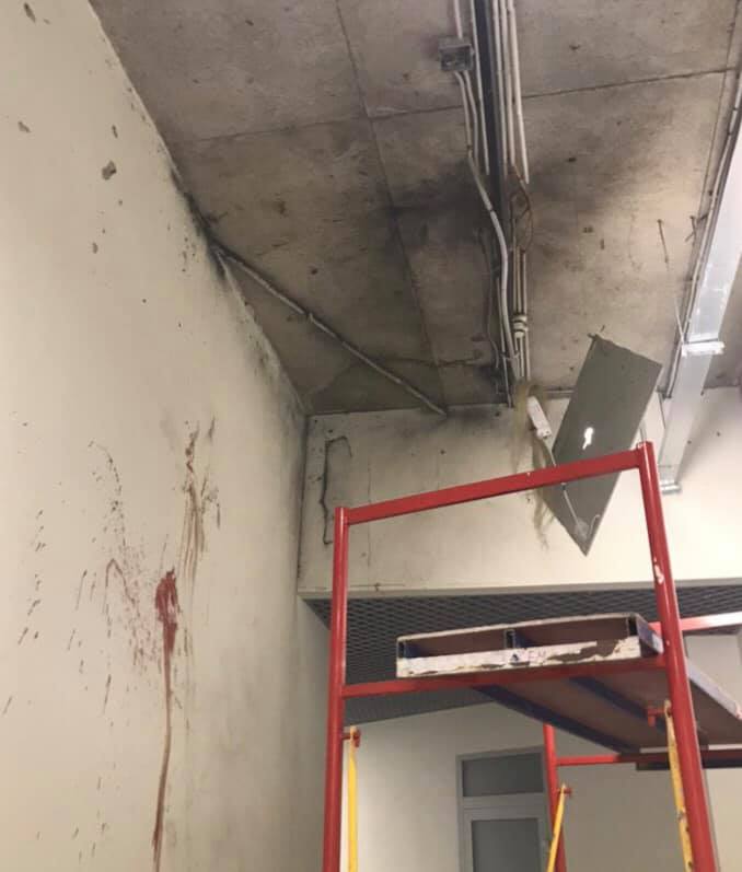 мармелад dqxikeidqxiqqeant