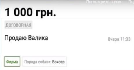 В Буче школьники пытались продать в Интернете одноклассника - фото 2 dqxikeidqxitkant