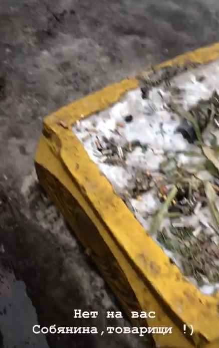 ÐºÐ¸ÐµÐ², ÑÐ¾Ð±Ñ‡Ð°Ðº, Ð´Ð¾Ñ€Ð¾Ð³Ð¸, Ð´Ð¾Ñ€Ð¾Ð³Ð¸ Ð² ÐºÐ¸ÐµÐ²Ðµ, ÑÐ¾Ð±Ñ‡Ð°Ðº Ð² ÐºÐ¸ÐµÐ²Ðµ dqxikeidqxitkant