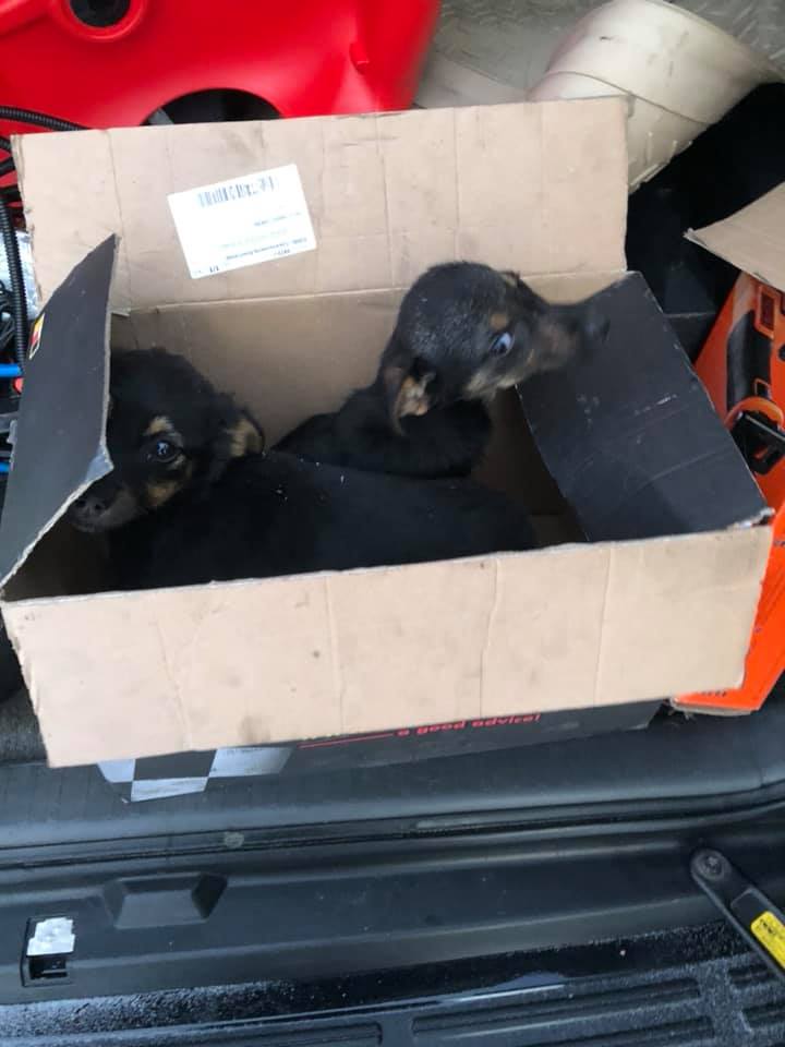 ÐÑжÑина ÑÐ¿Ð°Ñ ÑÑеÑ
Ñенков, коÑоÑÑÑ
бÑоÑили в поле под Ðиевом. ФоÑо: ÐмиÑÑий Синенко dqxikeidqxitkant