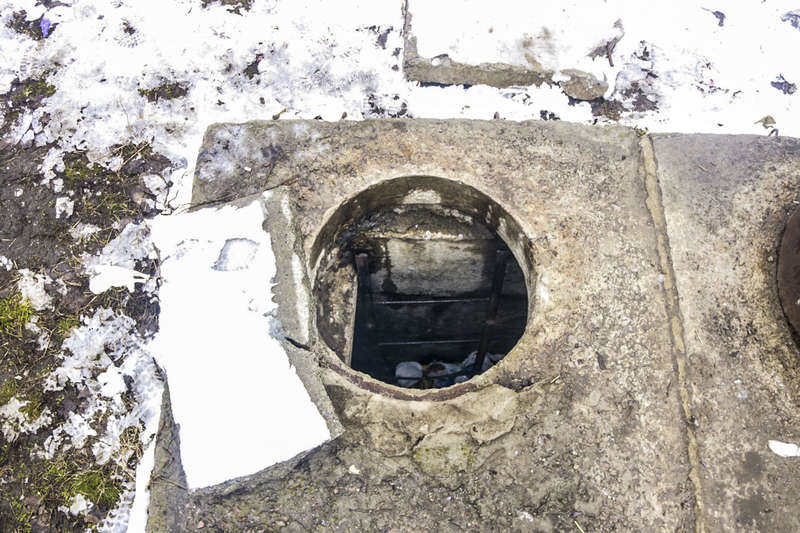 ÐогибÑий бÑл бездомнÑм, его наÑли в коллекÑоÑе dqxikeidqxitkant