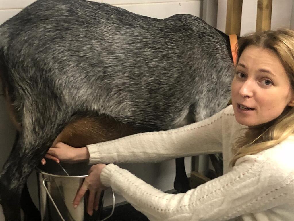   ? -    :  dqxikeidqxitkant