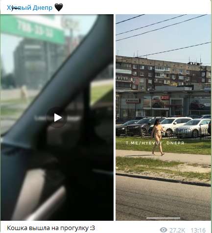 Хоть бы стыд прикрыла: по Днепру разгуливала абсолютно голая девушка. Видеофакт