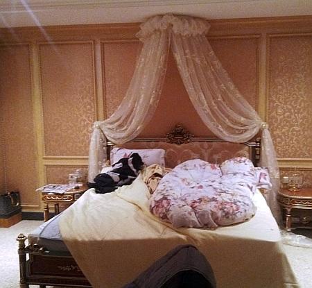 енакиевский юра