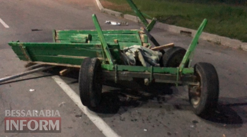 На выезде из Измаила пьяный водитель на "девятке" убил лошадь На выезде из Измаила пьяный водитель на "девятке" убил лошадь dqxikeidqxitkant