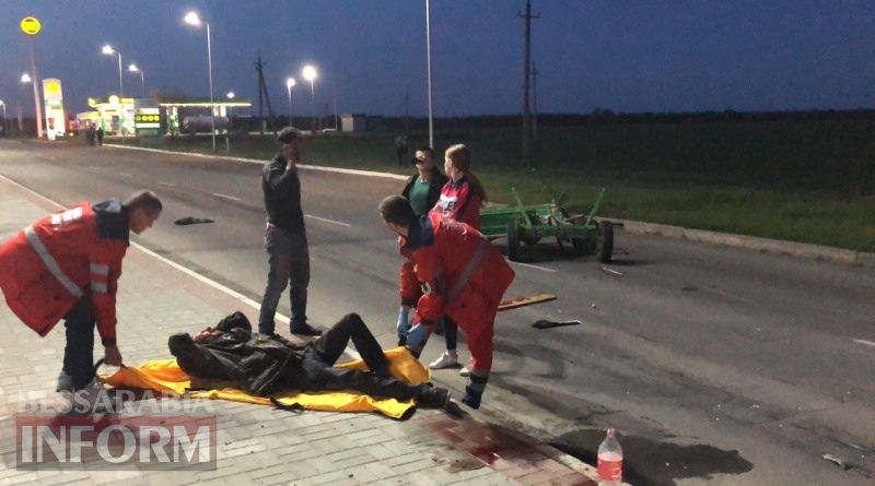 На выезде из Измаила пьяный водитель на "девятке" убил лошадь На выезде из Измаила пьяный водитель на "девятке" убил лошадь