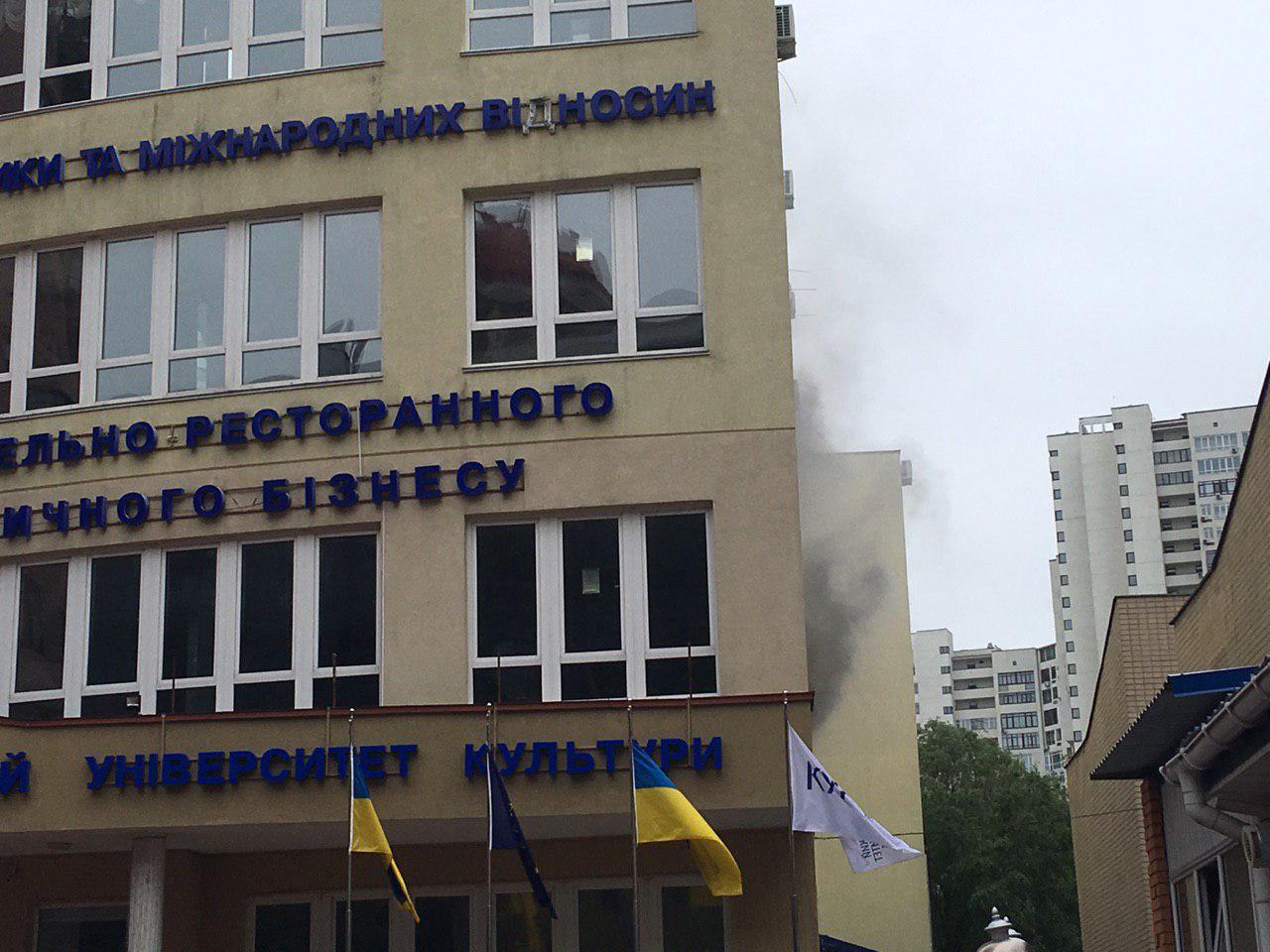 ÐÑедваÑиÑелÑно, загоÑелиÑÑ Ð¾ÑиÑнÑе веÑи на плоÑади 1 меÑÑ ÐºÐ²Ð°Ð´ÑаÑнÑй