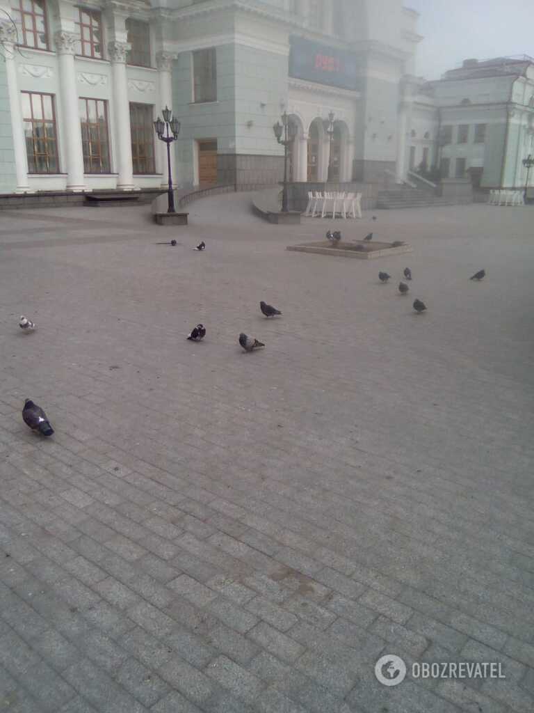 Фото русского мира в Донецке: завидуйте молча