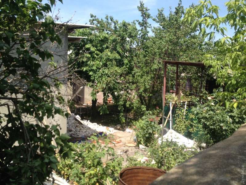     :        dqxikeidqxitkant