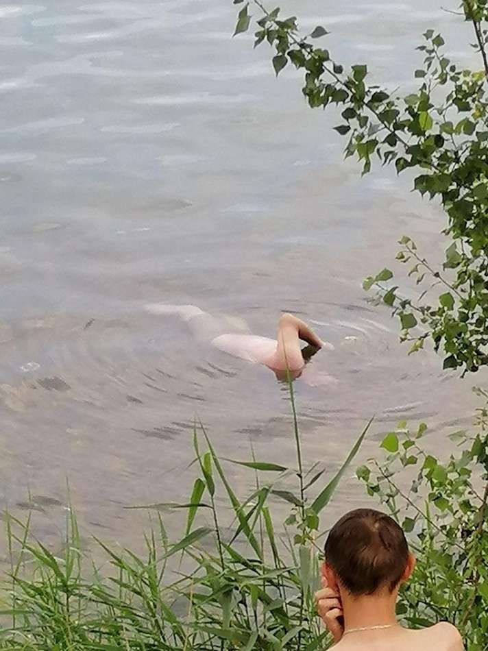 РХаÑÑкове наÑли ÑÑÑп dqxikeidqxitkant