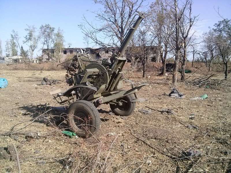 Ðа данном изобÑажении Ð¼Ð¾Ð¶ÐµÑ Ð½Ð°Ñ
одиÑÑÑÑ: деÑево, на ÑлиÑе и пÑиÑода