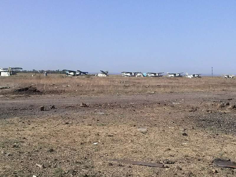 Ðа данном изобÑажении Ð¼Ð¾Ð¶ÐµÑ Ð½Ð°Ñ
одиÑÑÑÑ: небо, деÑево, на ÑлиÑе и пÑиÑода